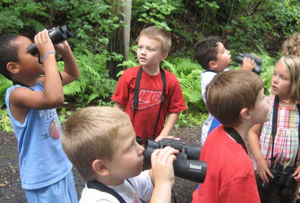 Children look to the trees at Indian Rock Nature Preserve. Photo courtesy of Environmental Learning Centers of Connecticut