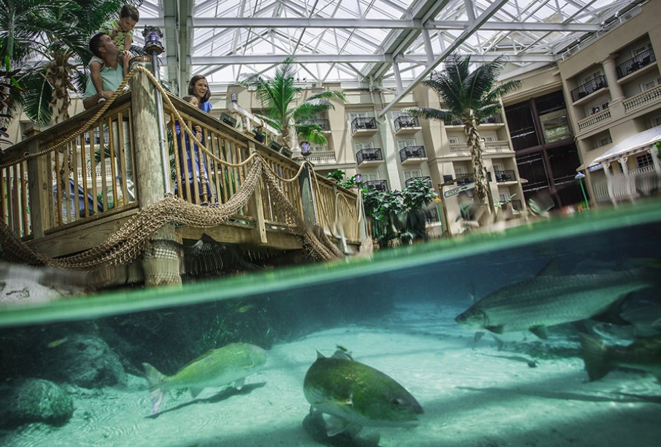 Kissimmee with Kids: 22 Things to Do in Kissimmee, Florida Nab a Gaylord Palms Resort Guess Pass and spend the day enjoying the water park, dining options, and other amenities. Photo courtesy of Marriott Gaylord Palms