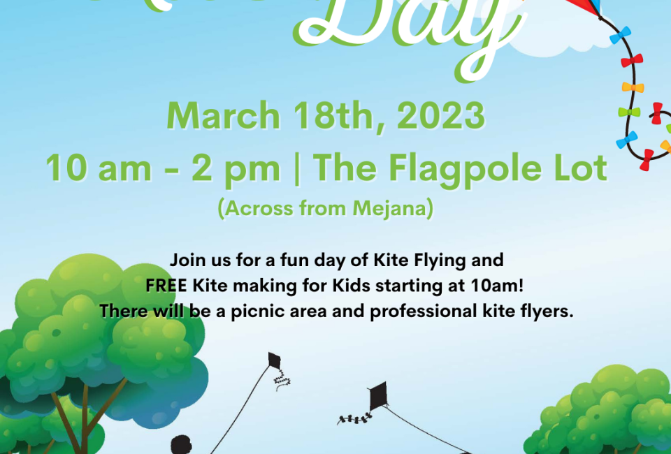 Avalon Park Kite Day