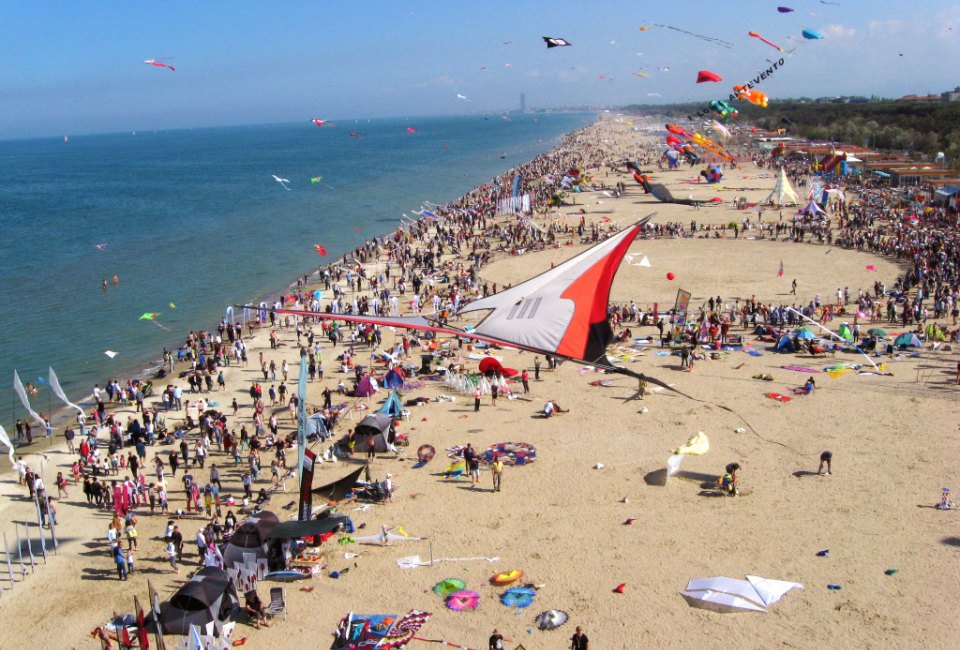 Festival of the Kite. Photo by Marcus Ertl/Flickr