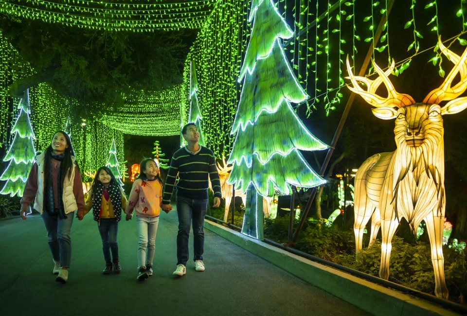 LA Zoo Lights: Animals Aglow photo by Jamie Pham