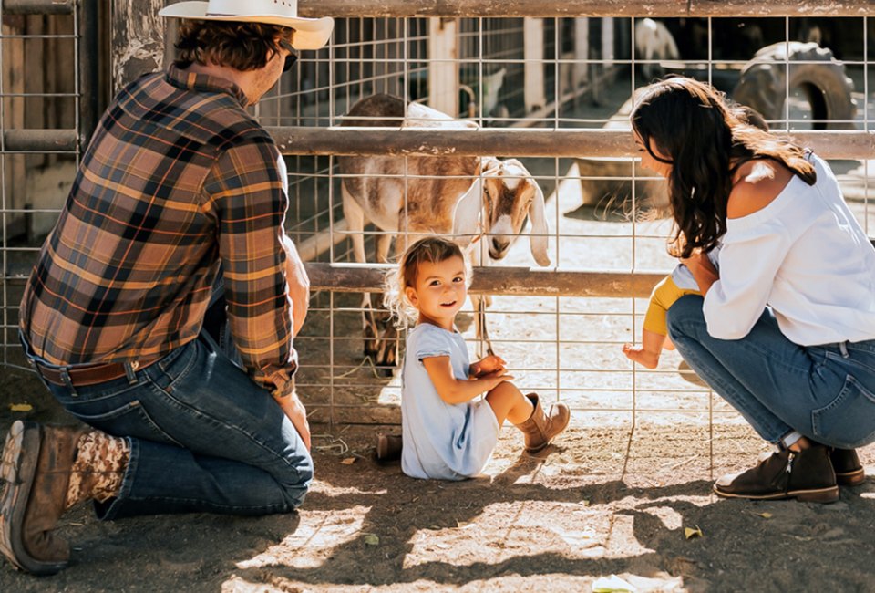 Wild Animal Sleepover Encounters for Kids Near LA Pet miniature horses and barnyard horses while staying the night. Photo courtesy of Alisal Ranch in Solvang