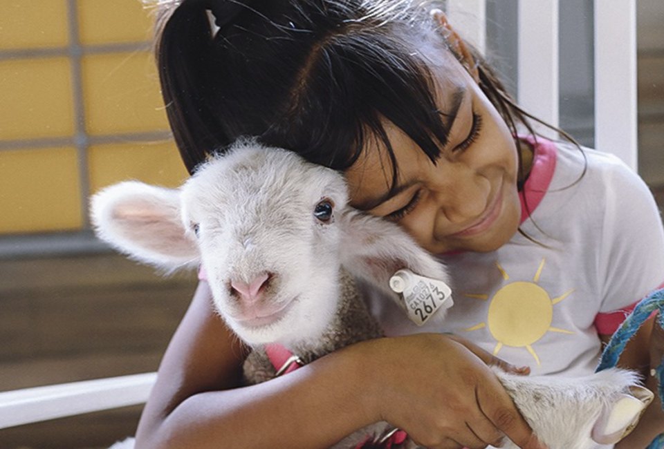 Snuggle up with a baby goat! Photo courtesy of the LA County Fair, Facebook