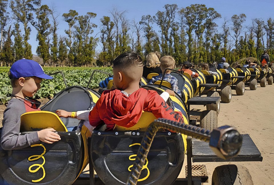 Underwood Farms buzzes with entertainment for all ages. Photo courtesy of the farm.