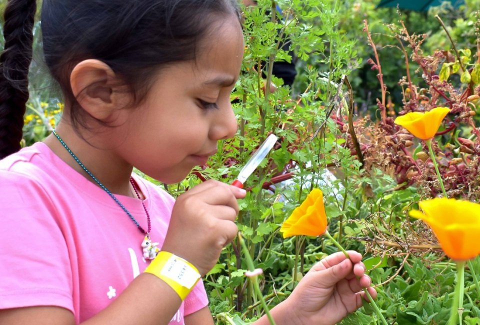 Enjoy garden and art workshops. Cesar Chavez Family Day garden photo courtesy of La Plaza del Cultura Y Artes 