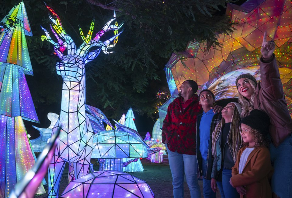 LA Zoo Lights: Animals Aglow makes a festive family evening. Photo by Jamie Pham