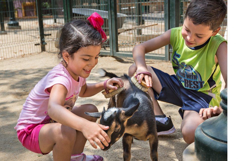 Photo by Jamie Pham/Los Angeles Zoo