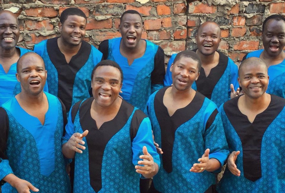 Listen to soulful harmonies at a Ladysmith Black Mambazo show.