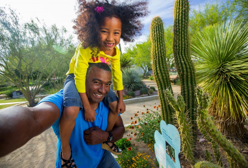 Who knew there was so much nature to see in the Las Vegas area? Photo courtesy of Springs Preserve