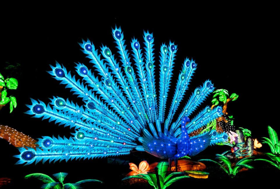 The LA Zoo Lights has animals alive and animals aglow. Photo courtesy of the zoo