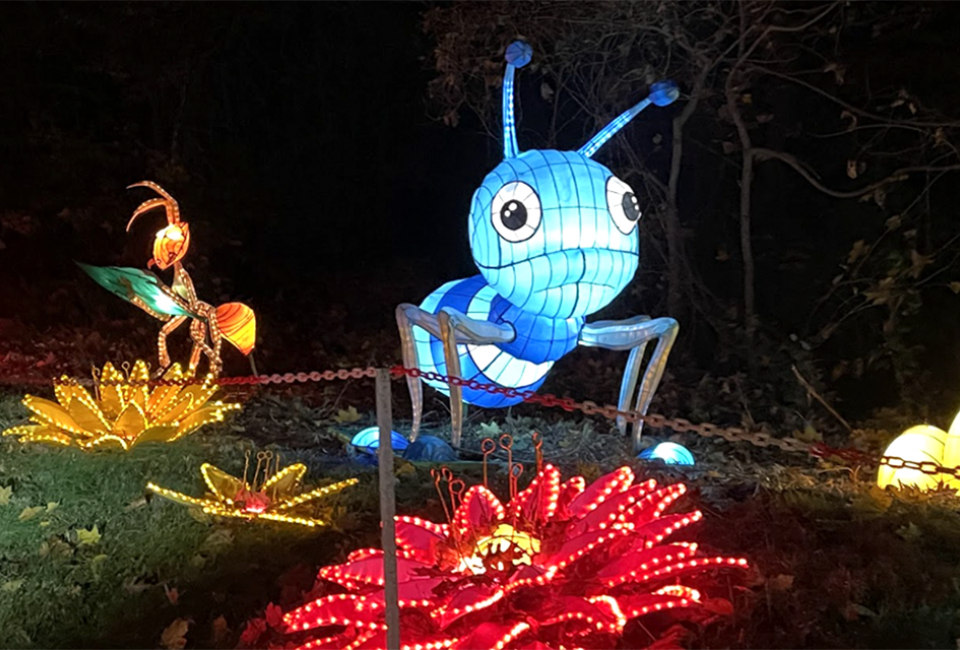 Delight in the illuminated bugs scattered throughout the attraction.