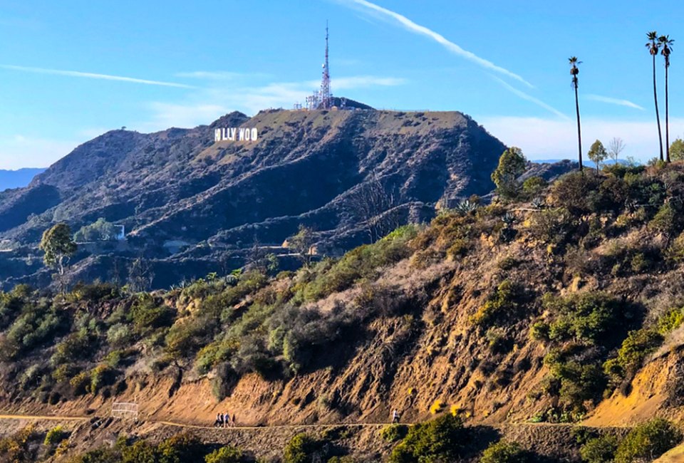 View of the Hollywood Sign from Griffith Park. Photo by Gina Ragland