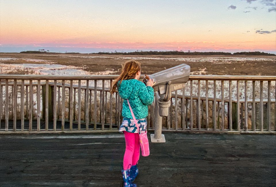 The Best Things to Do in Chincoteague, VA with Kids: A Family Travel Guide Look for birds along the Marsh Trail in Chincoteague. Photo by Lisa Warden