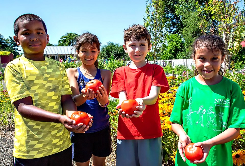The Edible Academy at the New York Botanical Garden teaches kids how to grow and harvest veggies and fruits.