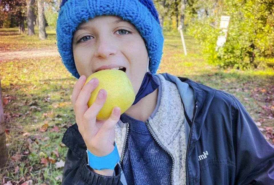 It's apple season! Photo courtesy of  Apple Holler Orchard