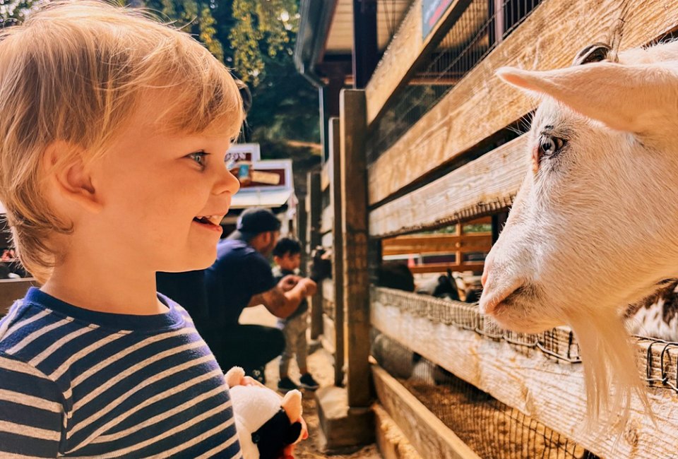 Lemos Farm in Half Moon Bay offers pony and train rides, a petting zoo, and seasonal entertainment. Photo courtesy of Lemos Farm