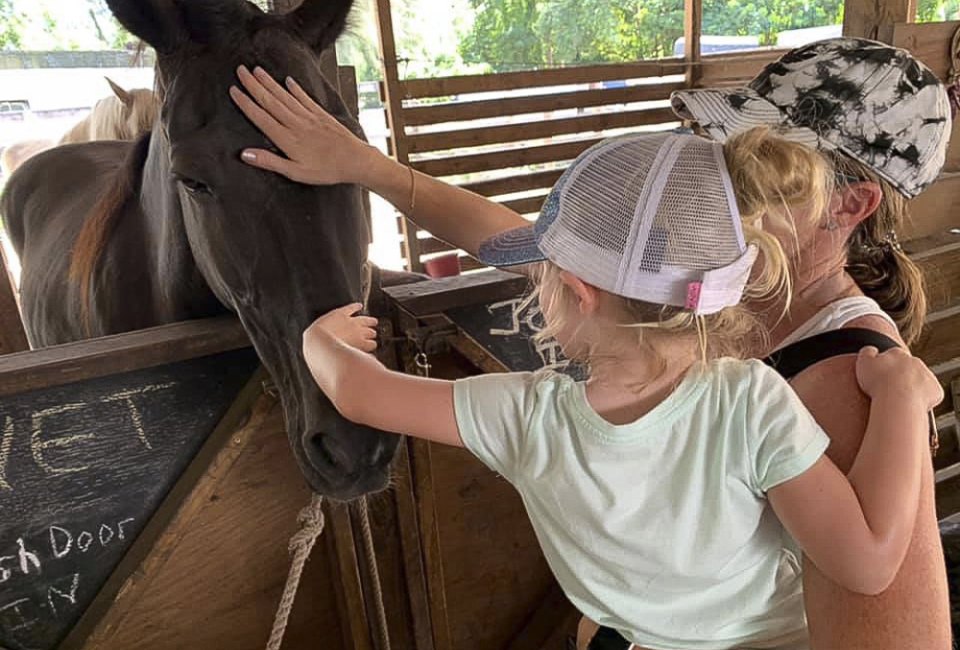 Meet the horses and enjoy a free ride at Happi Farm in Davie. Photo courtesy of the farm