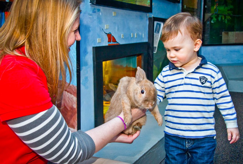You'll feel warm and fuzzy after all these fun things to do with preschoolers in Connecticut! Photo courtesy of the Lutz Children's Museum
