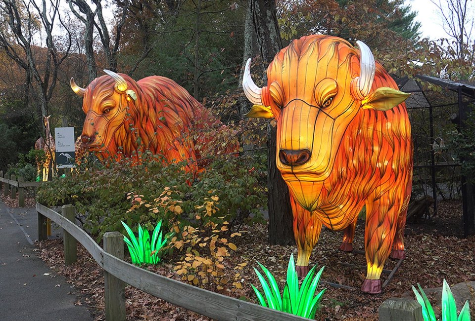 The Bergen County Zoo's holiday lantern show, 