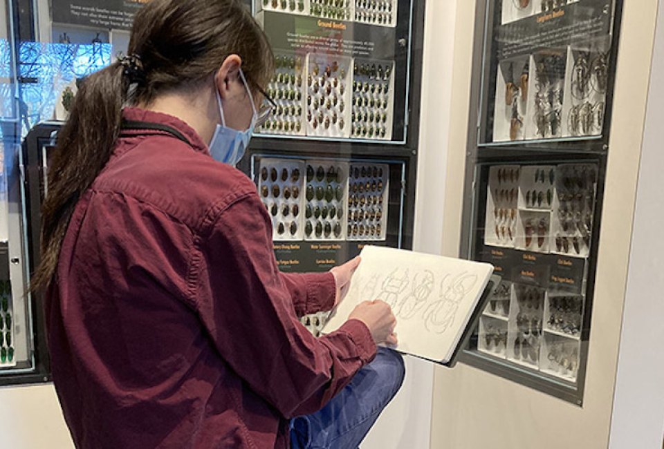 Let’s Draw: HMSC Sketching Weekend