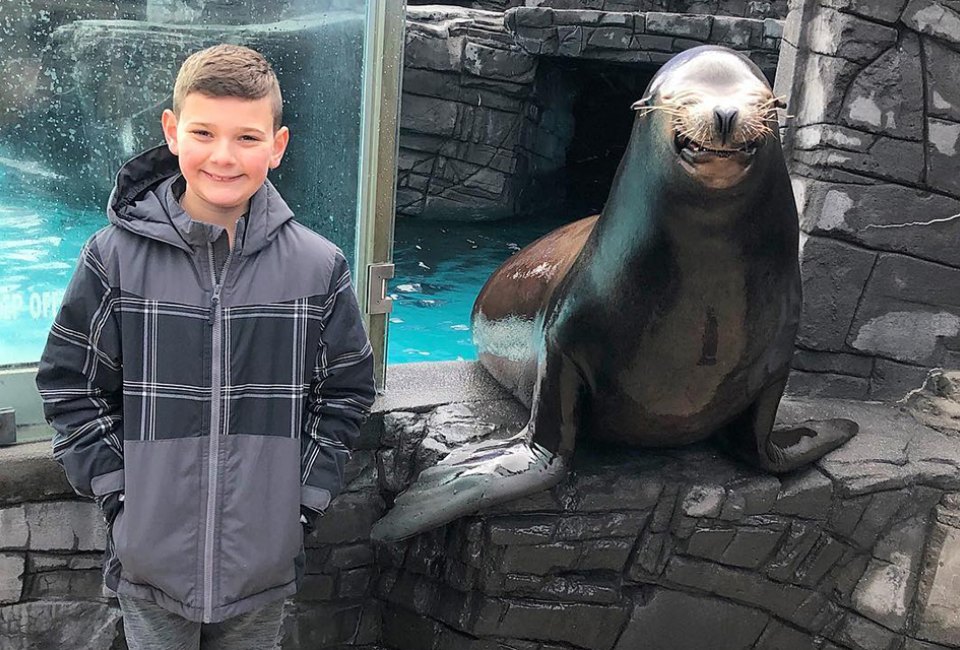 30 Best Things To Do this Winter on Long Island 2023: Our Winter Fun List The Long Island Aquarium is a great all-seasons destination. Photo courtesy of the aquarium