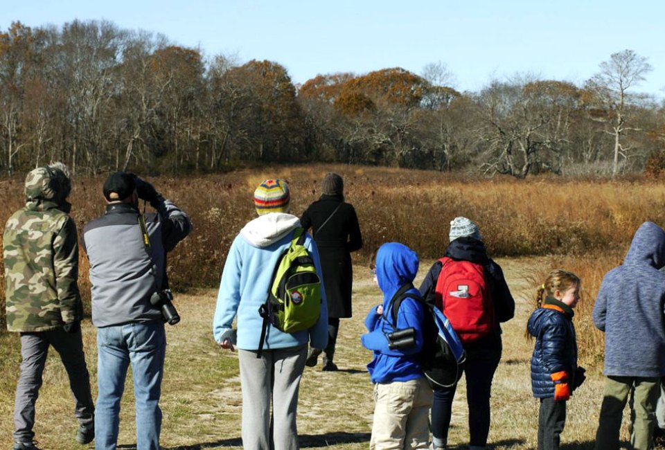 Kiddos can go birding with an educator in Vineyard Field at the South Fork Natural History Museum. Photo courtesy of the museum