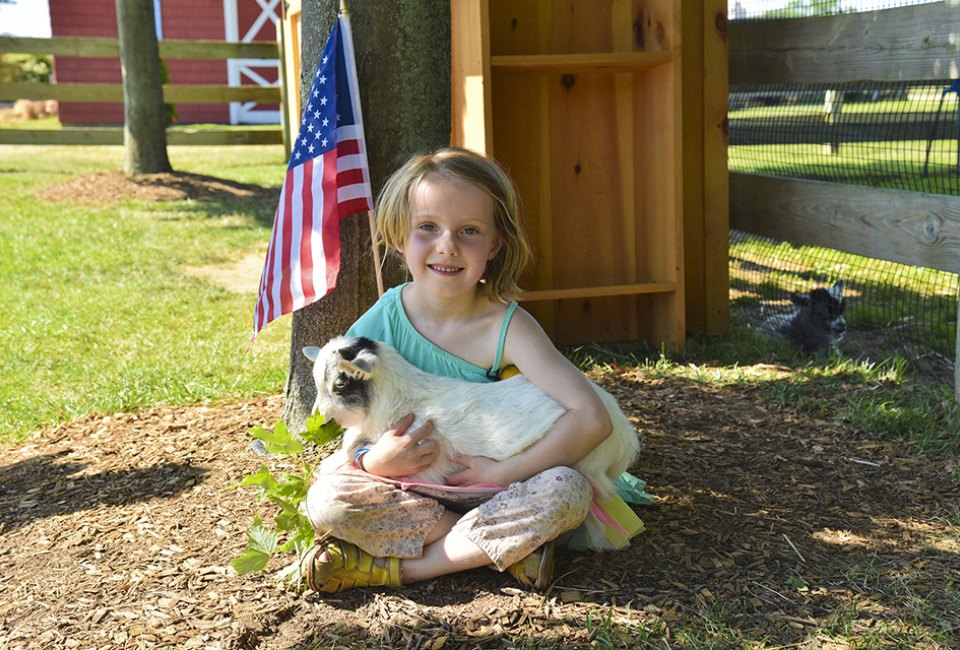 Check out the cuties at the Baby Animal Festival at Harbes Family Farm this weekend. Photo courtesy of the farm 