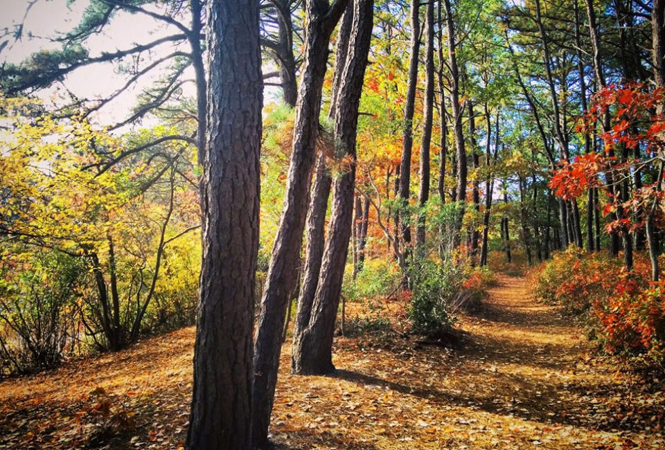 The Quogue Wildlife Nature Preserve is open daily, free of charge, from sunrise to sunset.