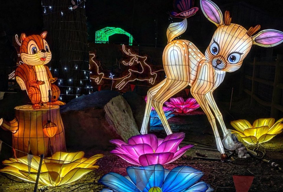 LuminoCity returns to Long Island this year with its imaginative displays. Photo courtesy of LuminoCity