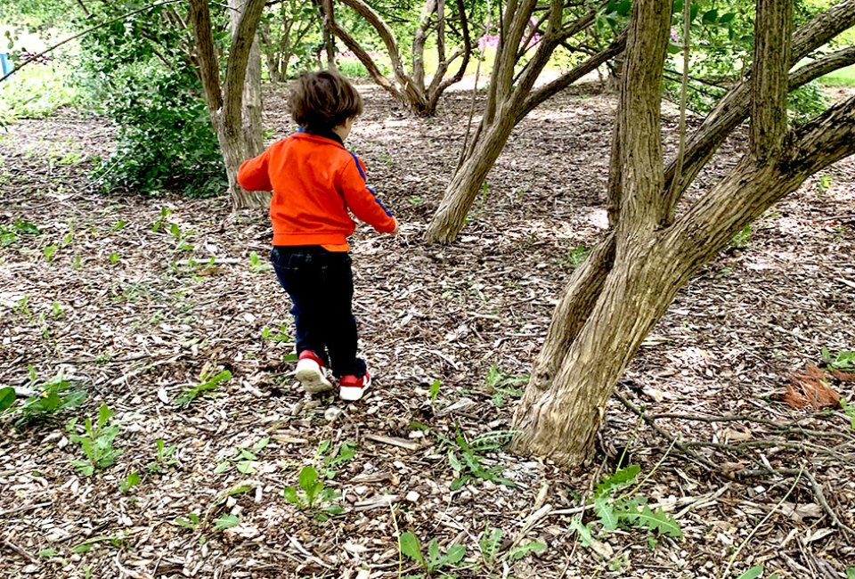 Go off-trail at one of Long Island’s many parks and preserves. Photo by Gina Massaro