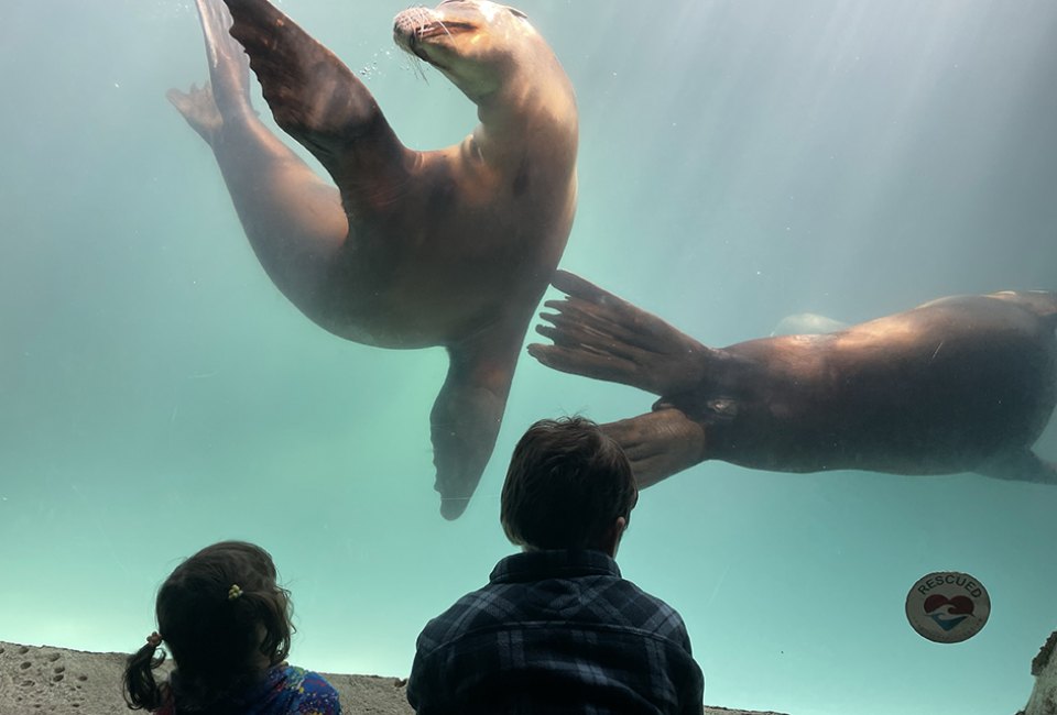 The Long Island Aquarium is a great all-seasons destination. 