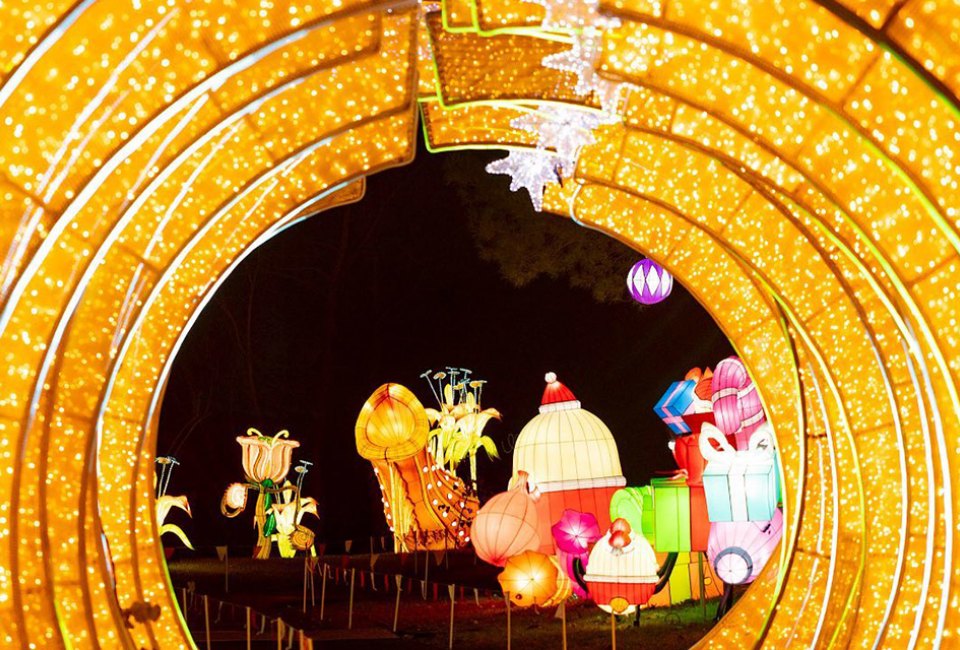 Veterans Day Weekend on Long Island: Best Things To Do with Kids Experience the immersive wonderland of lights at LuminoCity at Eisenhower Park. Photo courtesy Of LuminoCity