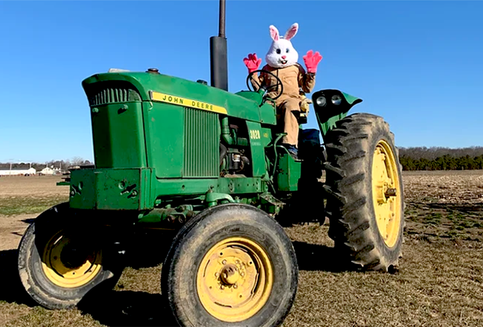 Explore a farm with the Easter Bunny at Waterdrinker Farm this weekend. Photo courtesy of the farm