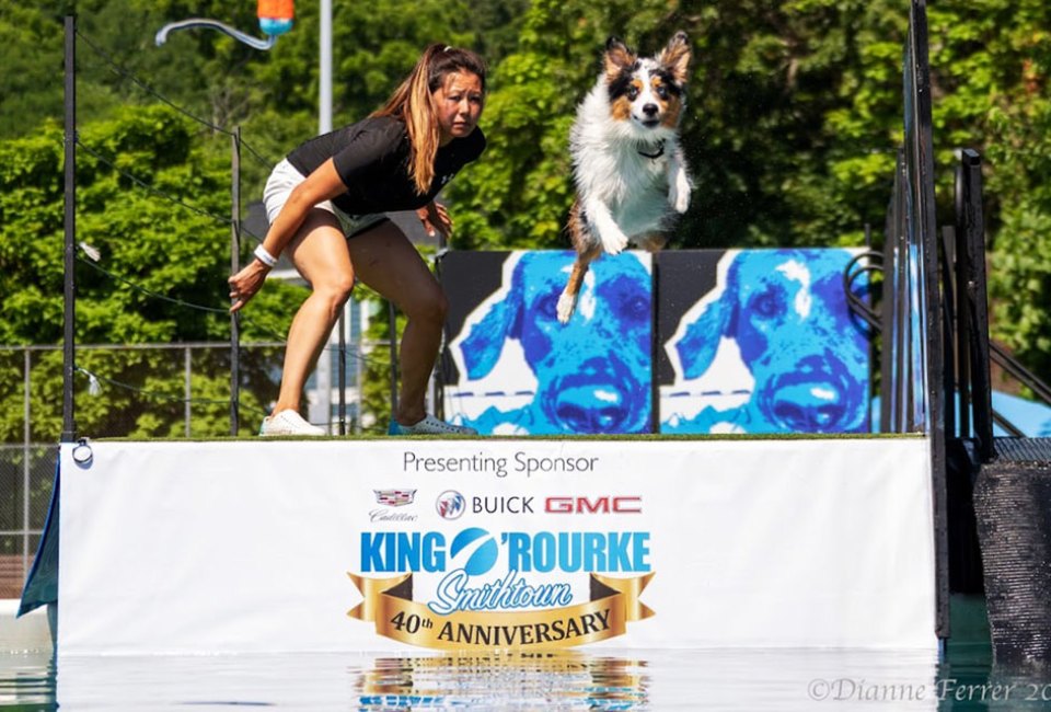 Catch some impressive pup performances at the Port Jefferson dog festival. Photo by Dianne Ferrer/Port Paws