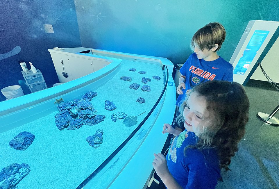 Kids will love the interactive touch tank within the Ocean section of Orlando Science Center's new Life exhibit. Photo by author