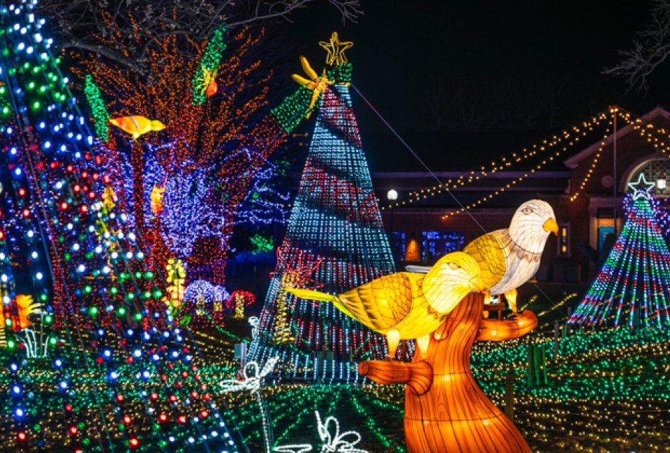 Lincoln Park Zoo Lights is one of several popular zoo events. Photo by Brandon Tucker, courtesy of the Zoo.