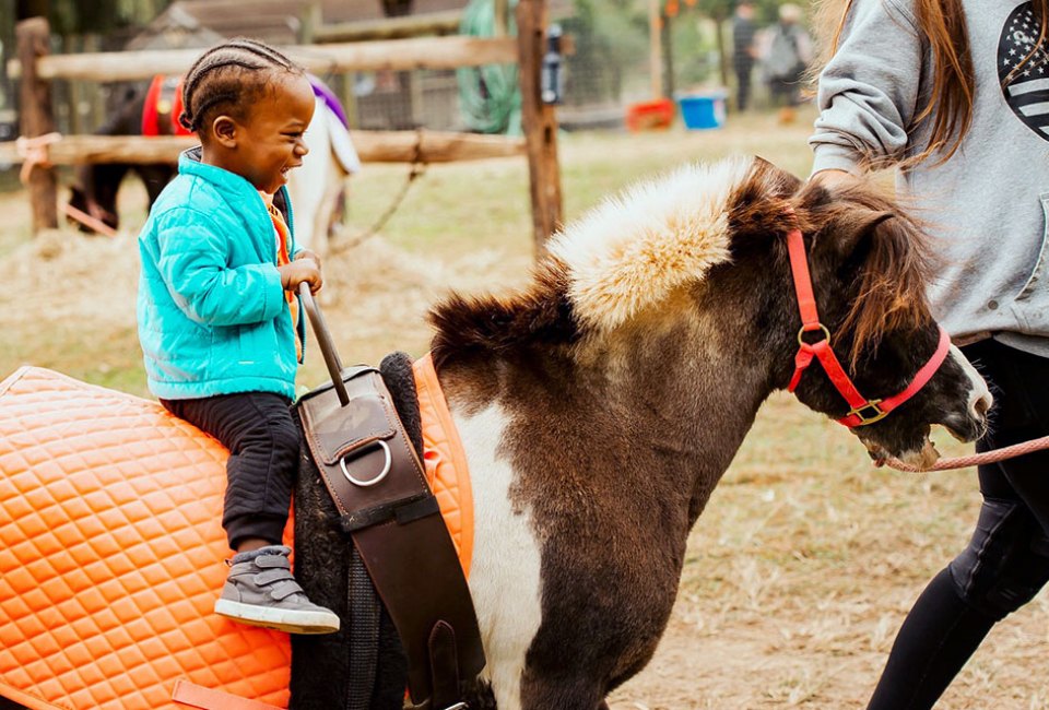 Pony rides always bring out smiles at Linvilla Orchards. Photo courtesy of the orchard