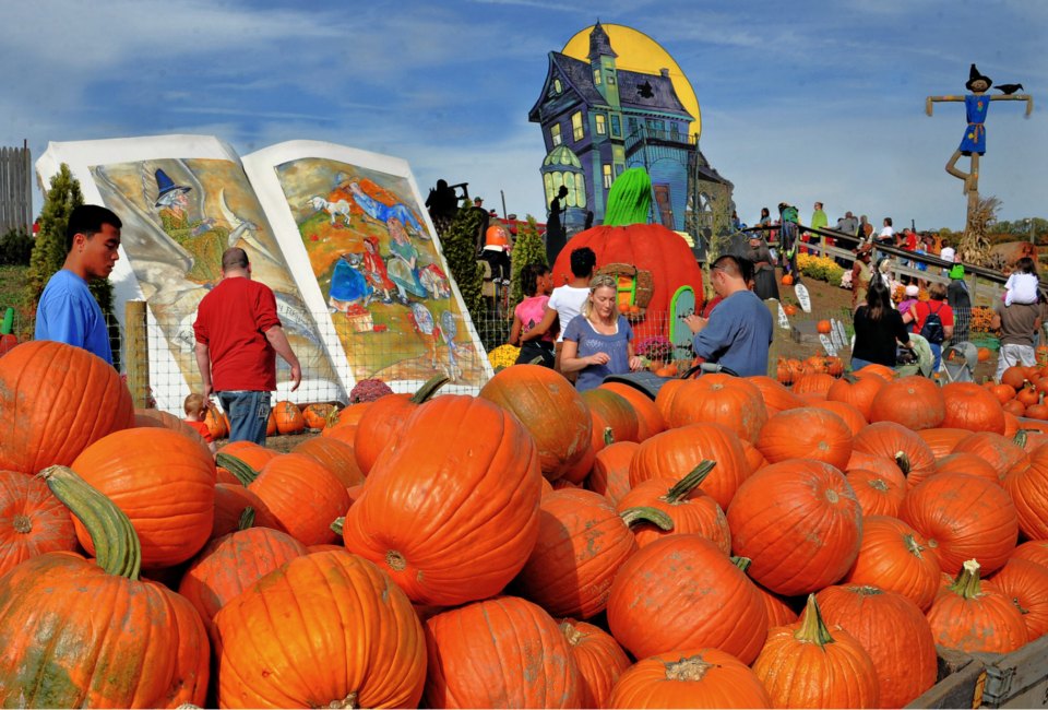 Pumpkinland at Linvilla Orchards. Photo by R.Kennedy for Visit Philadelphia