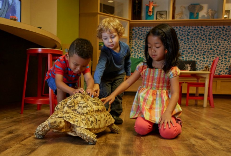 Get up close to the wildlife at the Academy of Natural Sciences at Drexel University