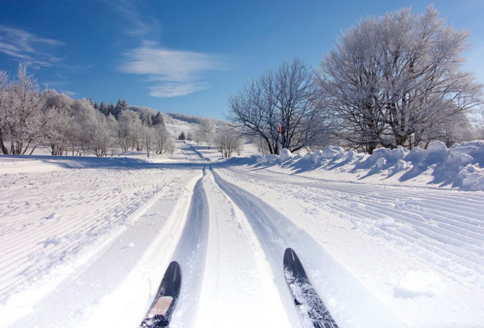 Cross-country skiing on Long Island makes for a perfect, crowd-free winter outing.