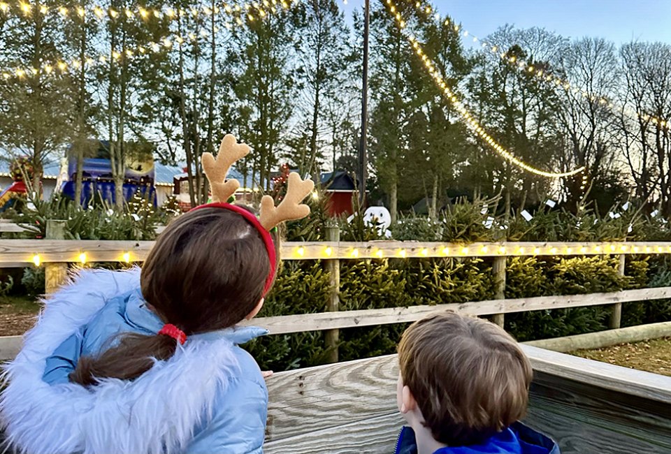 Find the perfect tree for your family at Santa's Christmas Tree Farm. 