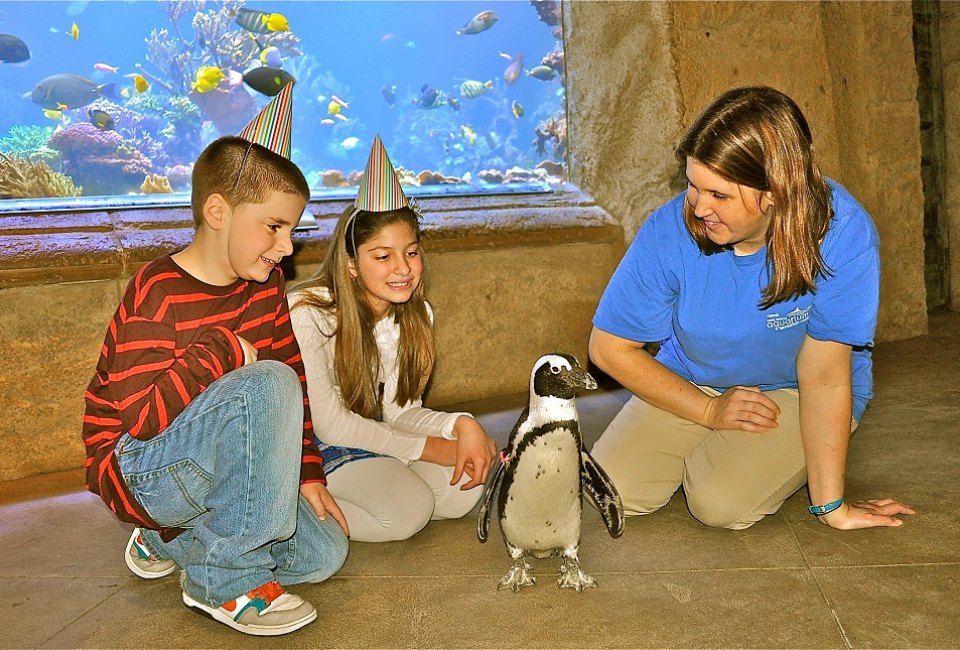 <i>Party guests can mingle with penguins at Long Island Aquarium.</i>