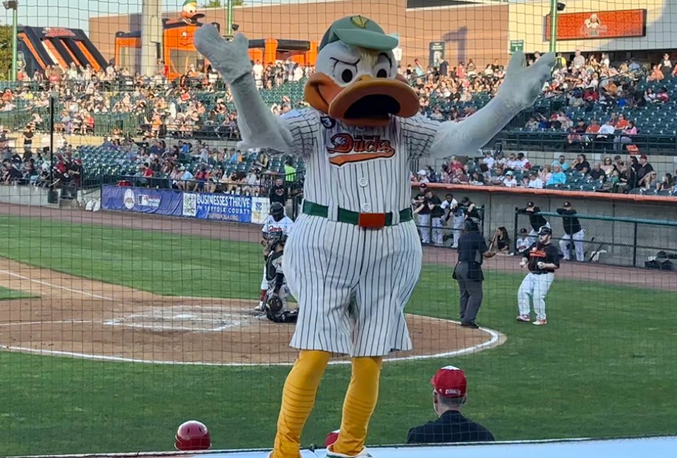 QuackerJack brings tons of fun and entertainment to the crowd at a Long Island Ducks game. 