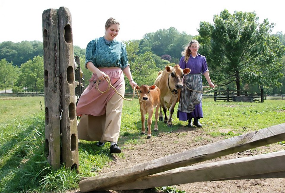 Visit the happy, free-range happy animals at Historic Longstreet Farm.