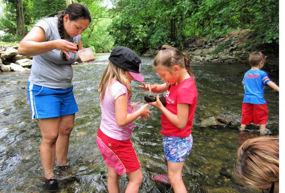 Lorimer Park's Freshwater Investigation. Photo by Ruth King