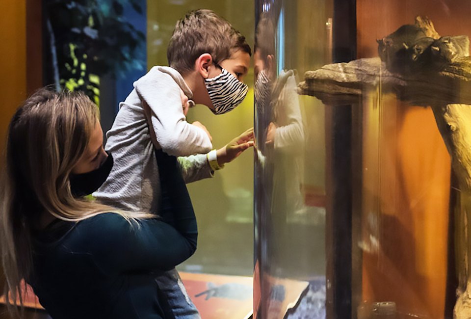 Liberty Science Center celebrates kids ages 6 and under with its twice a week junior days. Photo courtesy of LSC