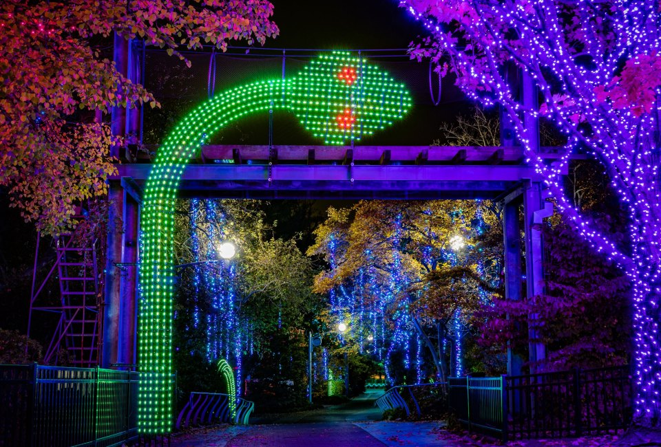 What's that sparkle off 76?  LumiNature is back. Photo courtesy of the Philadelphia Zoo