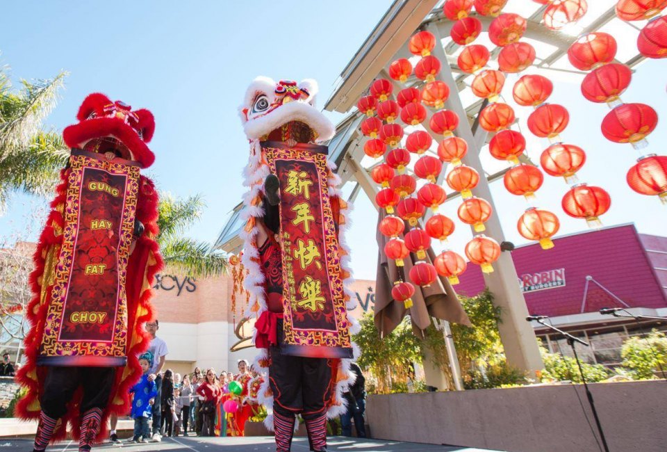 Lunar New Year Community Event