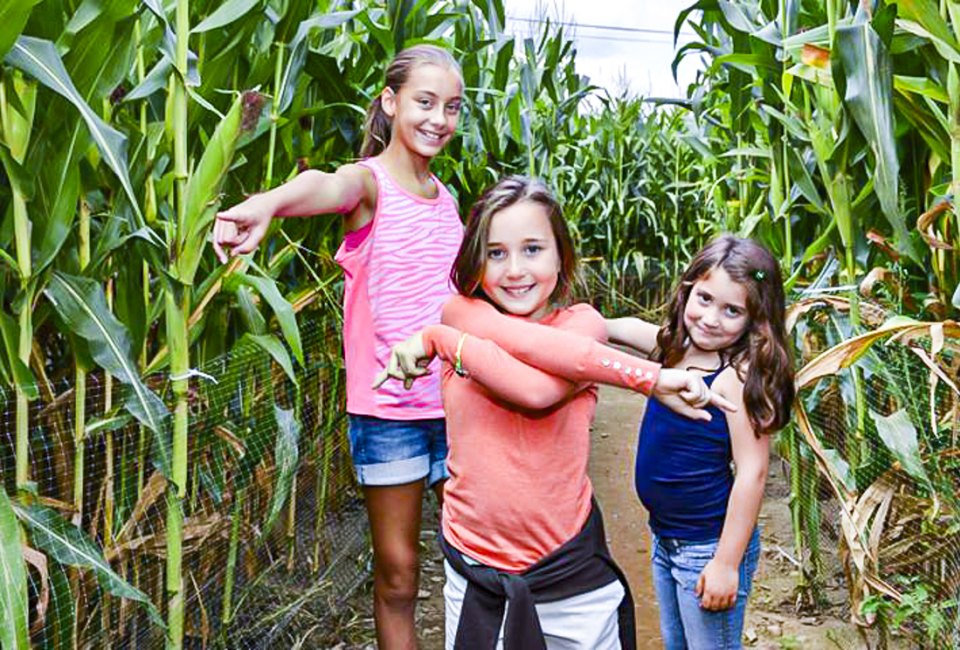 Corn Mazes in Connecticut are great family fun on a fall day! Photo courtesy of Lyman Orchards