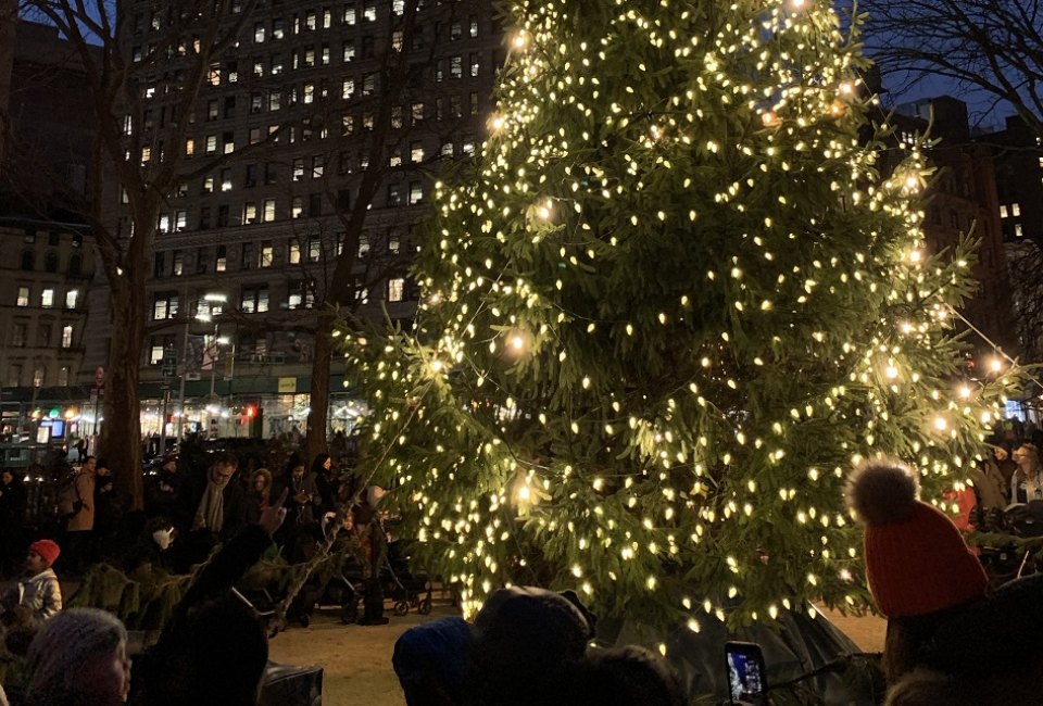 Madison Square Holiday Tree Lighting Mommy Poppins Things To Do in